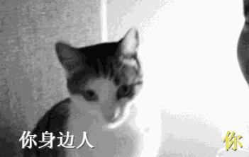 口臭根本不是牙齿的问题,口臭不臭自己知道吗