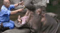 口臭根本不是牙齿的问题,口臭不臭自己知道吗