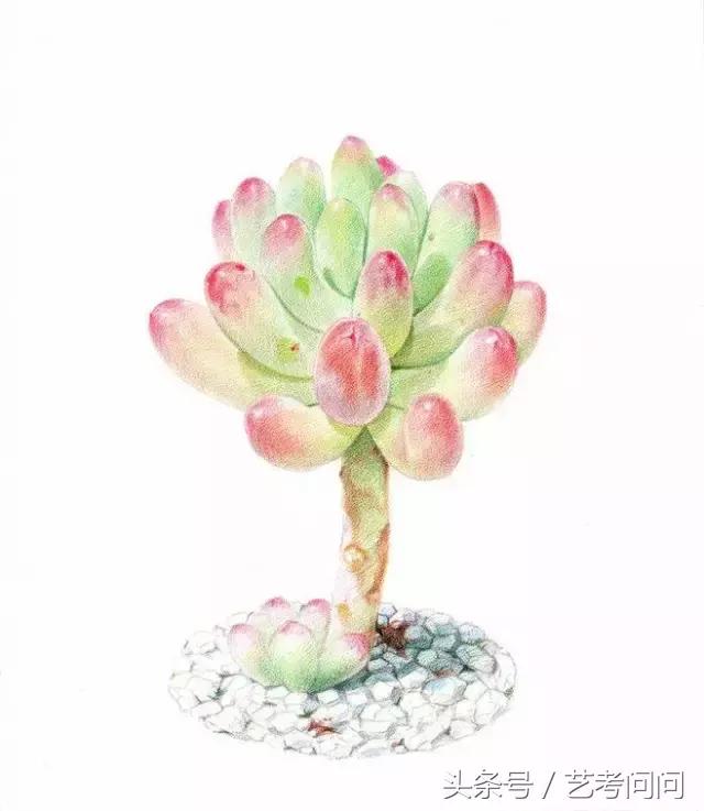 画具品牌排行榜,画具哪个牌子好