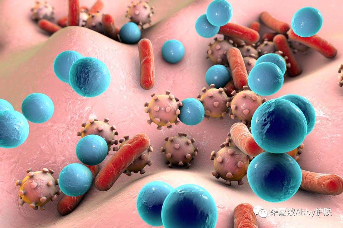人体皮肤的正常菌群有哪些,皮肤菌群及功能