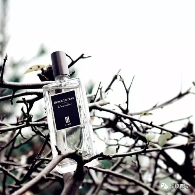 香水用对了,就是行走的*药春**!