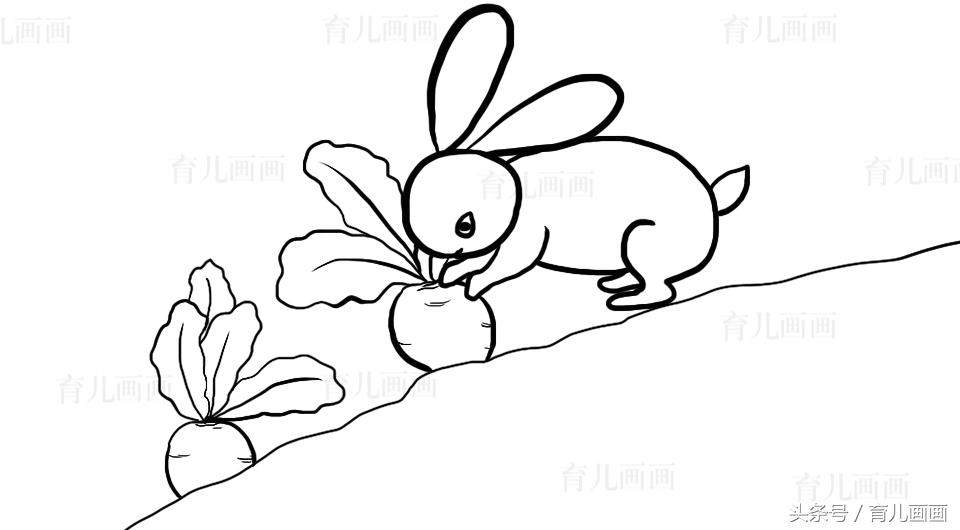 芒果简笔画可爱卡通人物,卡通橘子简笔画