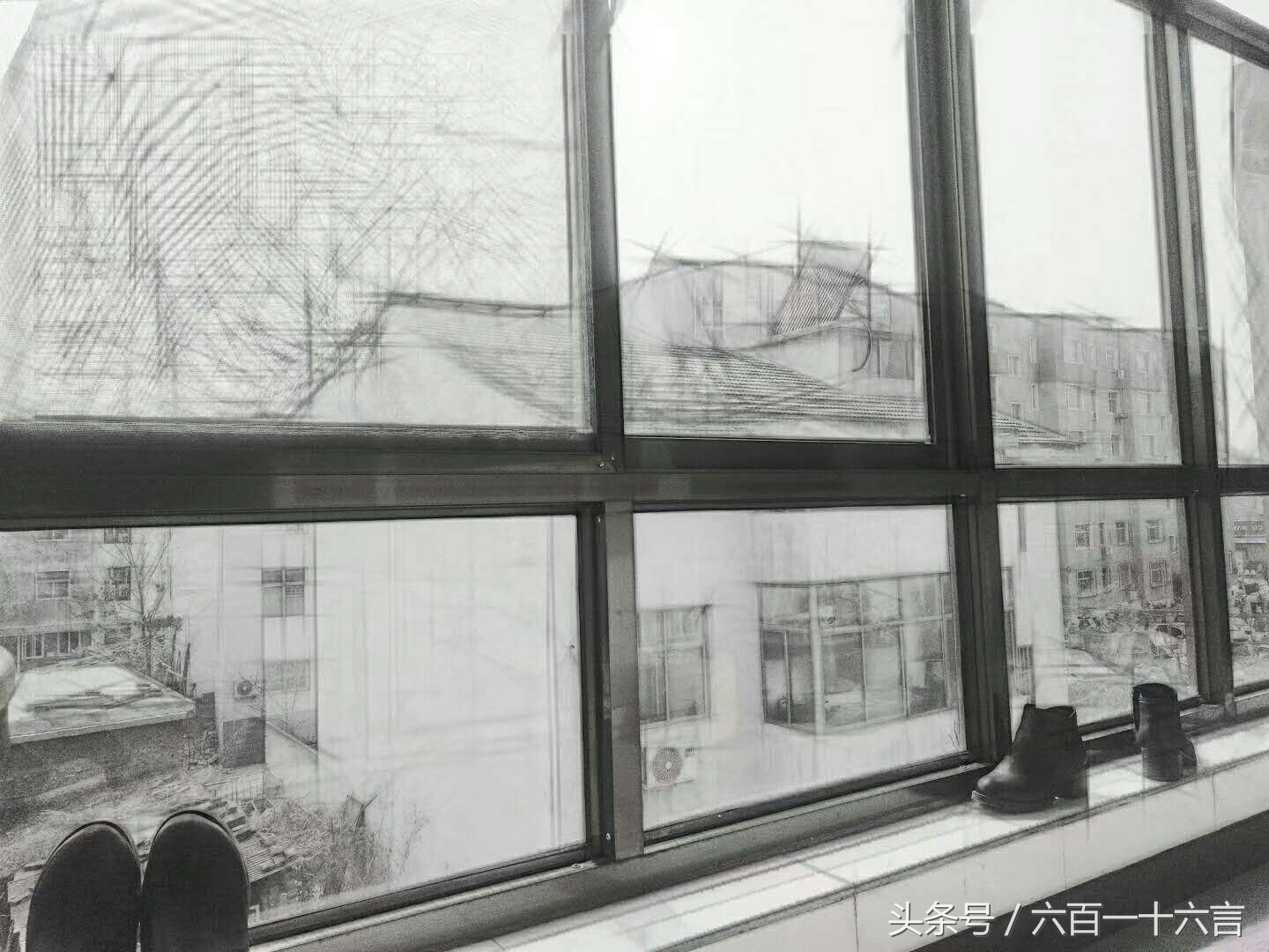 头条号手机摄影:爱拍美图分享第二期，欢迎围观，欢迎来稿！