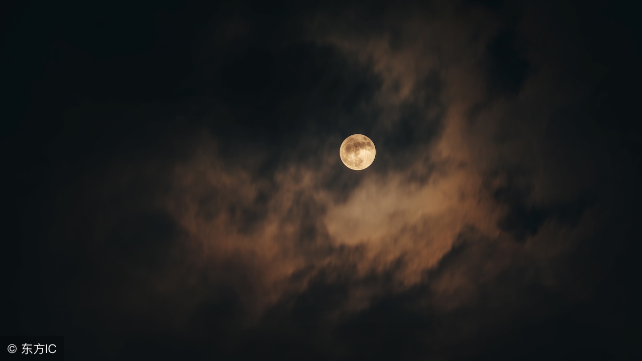 长篇故事《楼上的高跟鞋》胆小勿入！