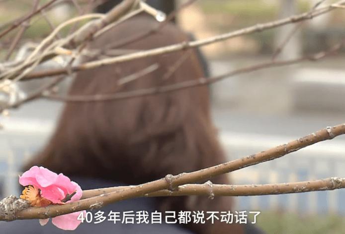 锁了47年的手机,如果你的手机被锁机了怎么办