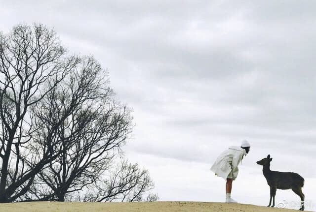 38岁安以轩终于怀孕却迎来惊吓，住院手术引网友心疼