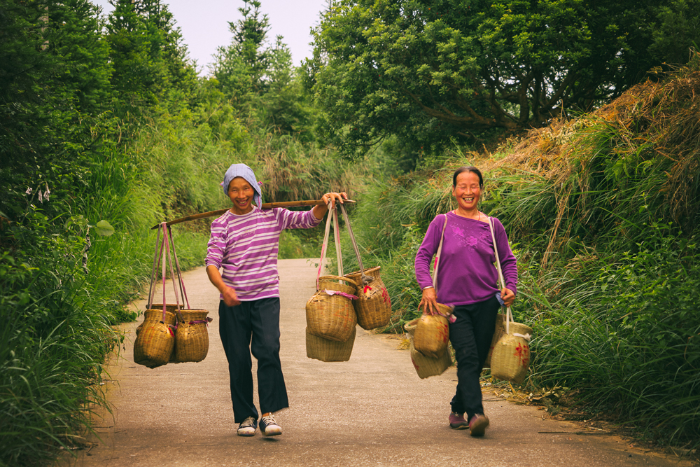 农产品众筹怎么做推广赚钱,众筹农产品流程