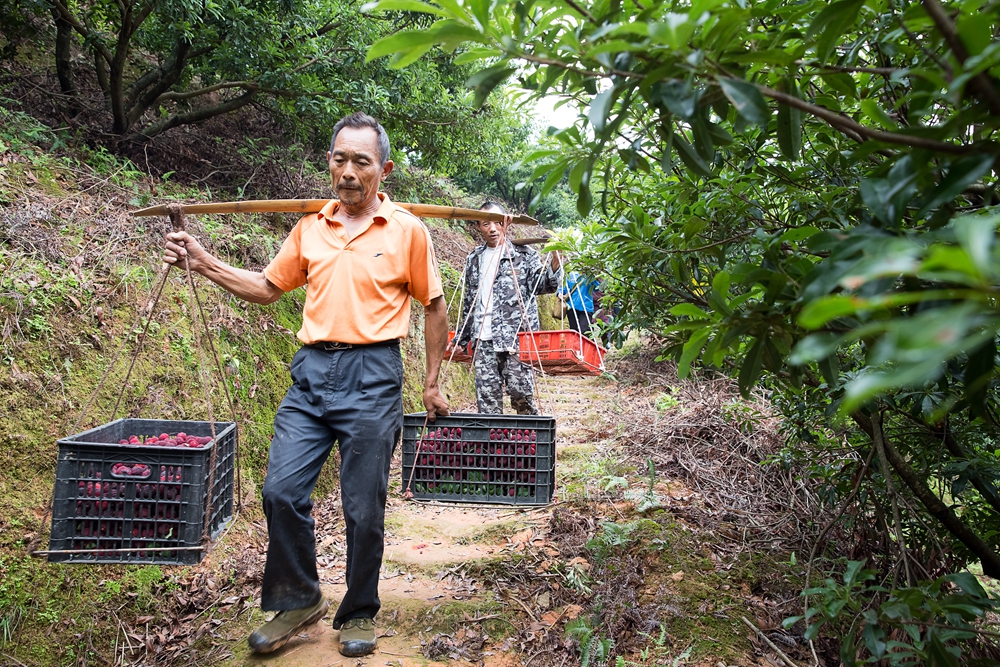 农产品众筹怎么做推广赚钱,众筹农产品流程