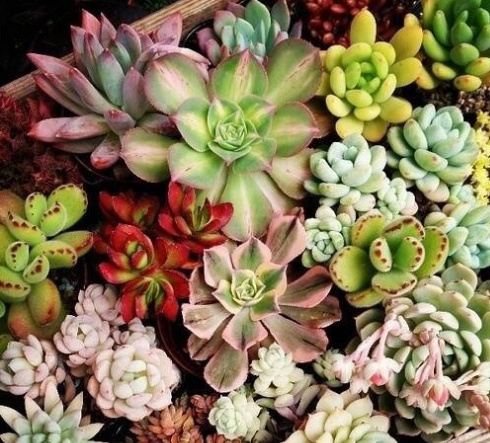 身在天涯心在咫尺情在心里,身在天涯心在墨里是什么意思