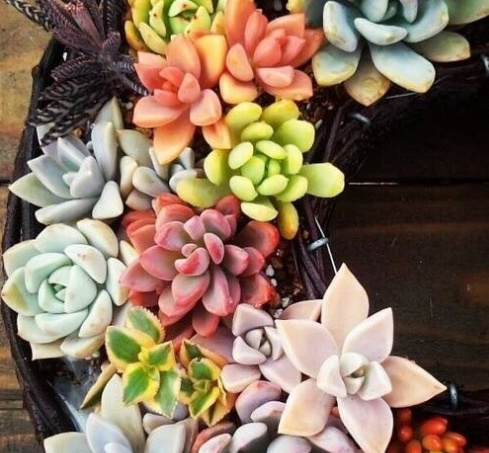 身在天涯心在咫尺情在心里,身在天涯心在墨里是什么意思