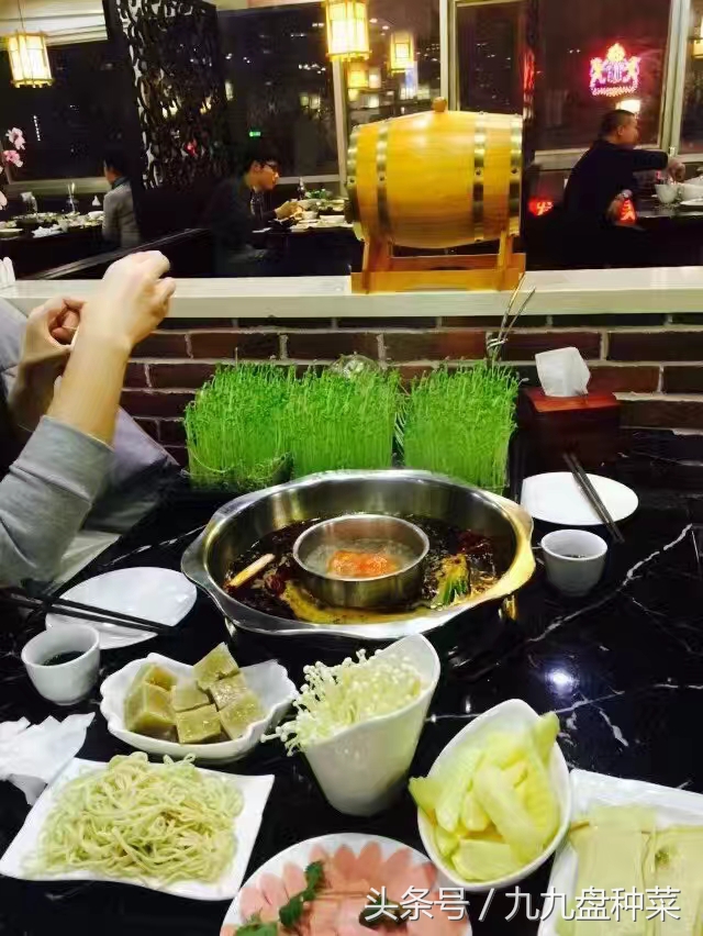 怎么入行芽苗菜行业,现在做芽苗菜行业可以吗