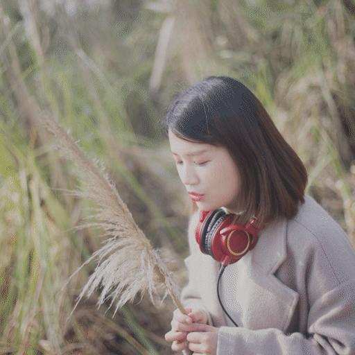 铁三角ath-m50x测评,铁三角m50x耳机深度评测