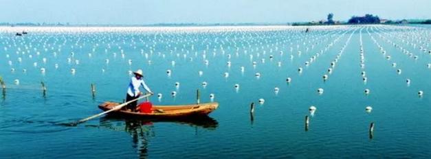 珍珠的产地决定珍珠的价值吗？外国的珍珠一定比中国好吗？