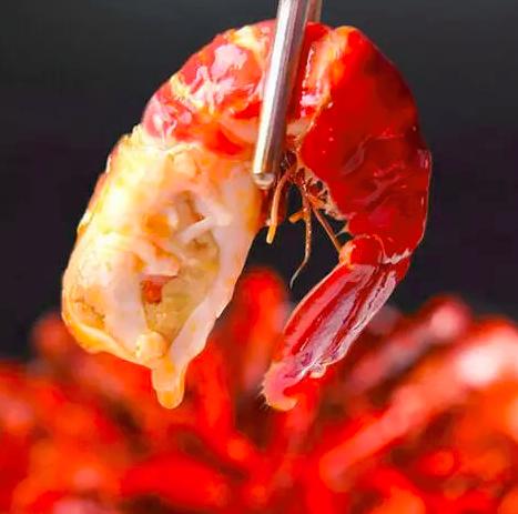 小龙虾清洗是用小苏打还是食用碱,餐饮店是如何大批量清洗小龙虾