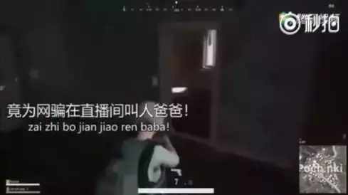 吃鸡可笑女主播,吃鸡女主播声音很魔性