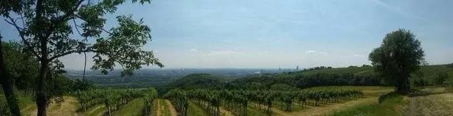 世界上最不可思议的风景,世界上最不可思议的水果