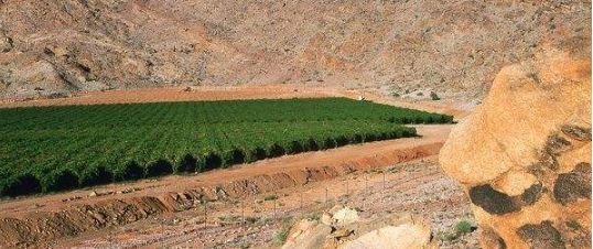 世界上最不可思议的风景,世界上最不可思议的水果