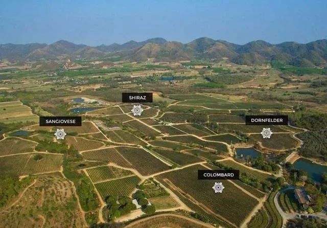 世界上最不可思议的风景,世界上最不可思议的水果