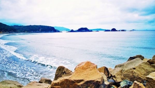 世界上最不可思议的风景,世界上最不可思议的水果