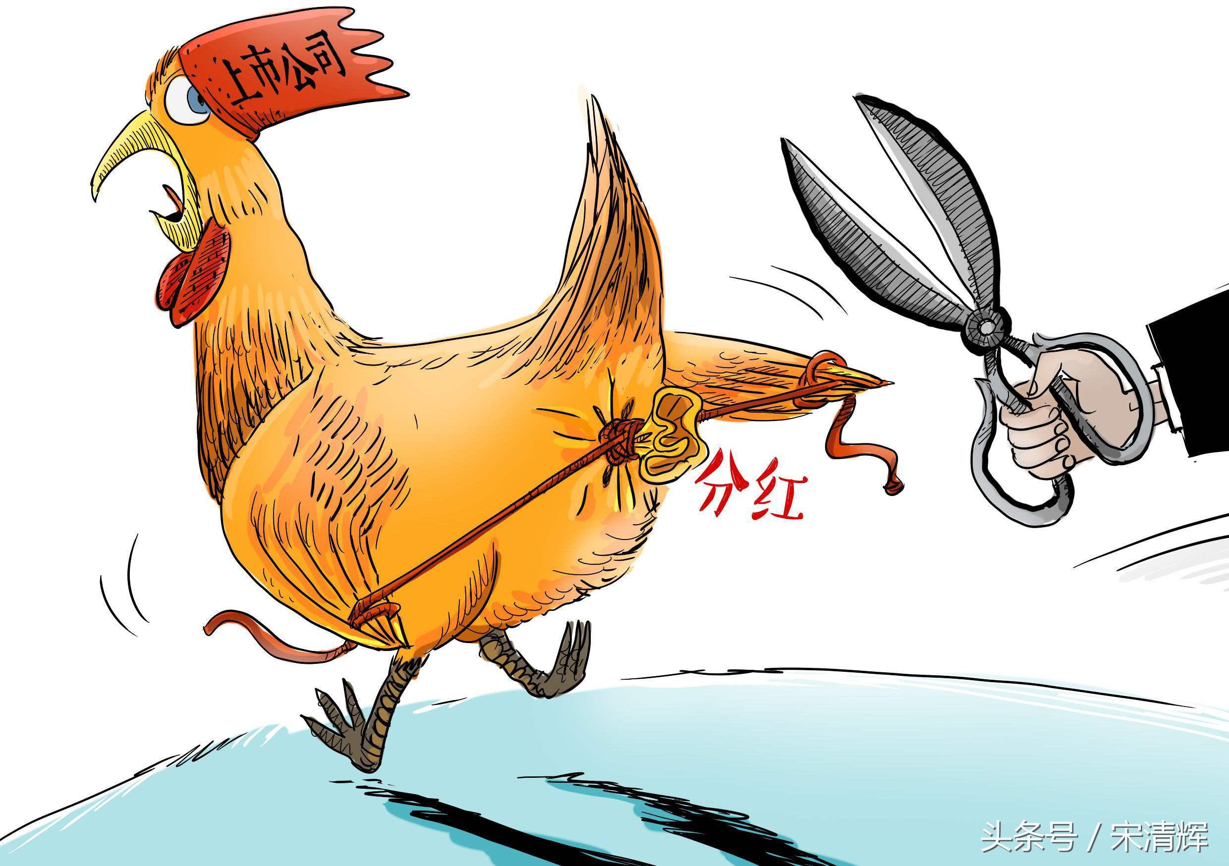 宋清辉净利润,宋清辉2019年营收