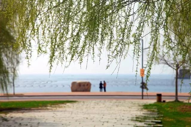 大连又好玩又拍照好看的地方,大连有什么拍照的好去处