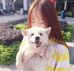 细数喜欢狗狗的女生的7个好处