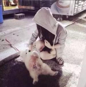 细数喜欢狗狗的女生的7个好处