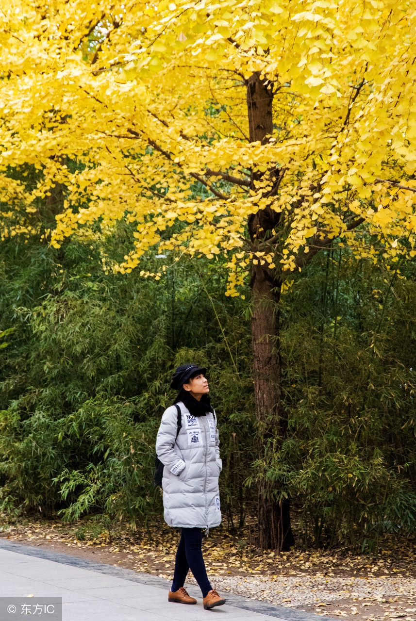 岁月静好浅笑安然免费,岁月静好浅笑安然的下一句是什么