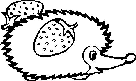 幼儿园批改作业奖励简笔画,幼儿园简笔画教学教程