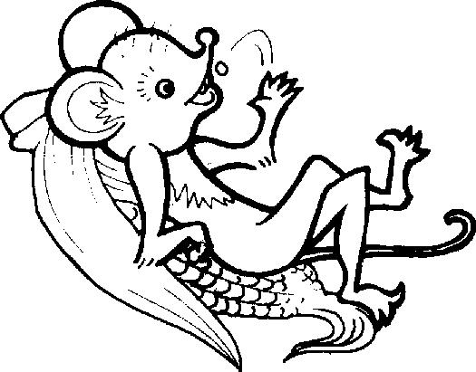 幼儿园批改作业奖励简笔画,幼儿园简笔画教学教程