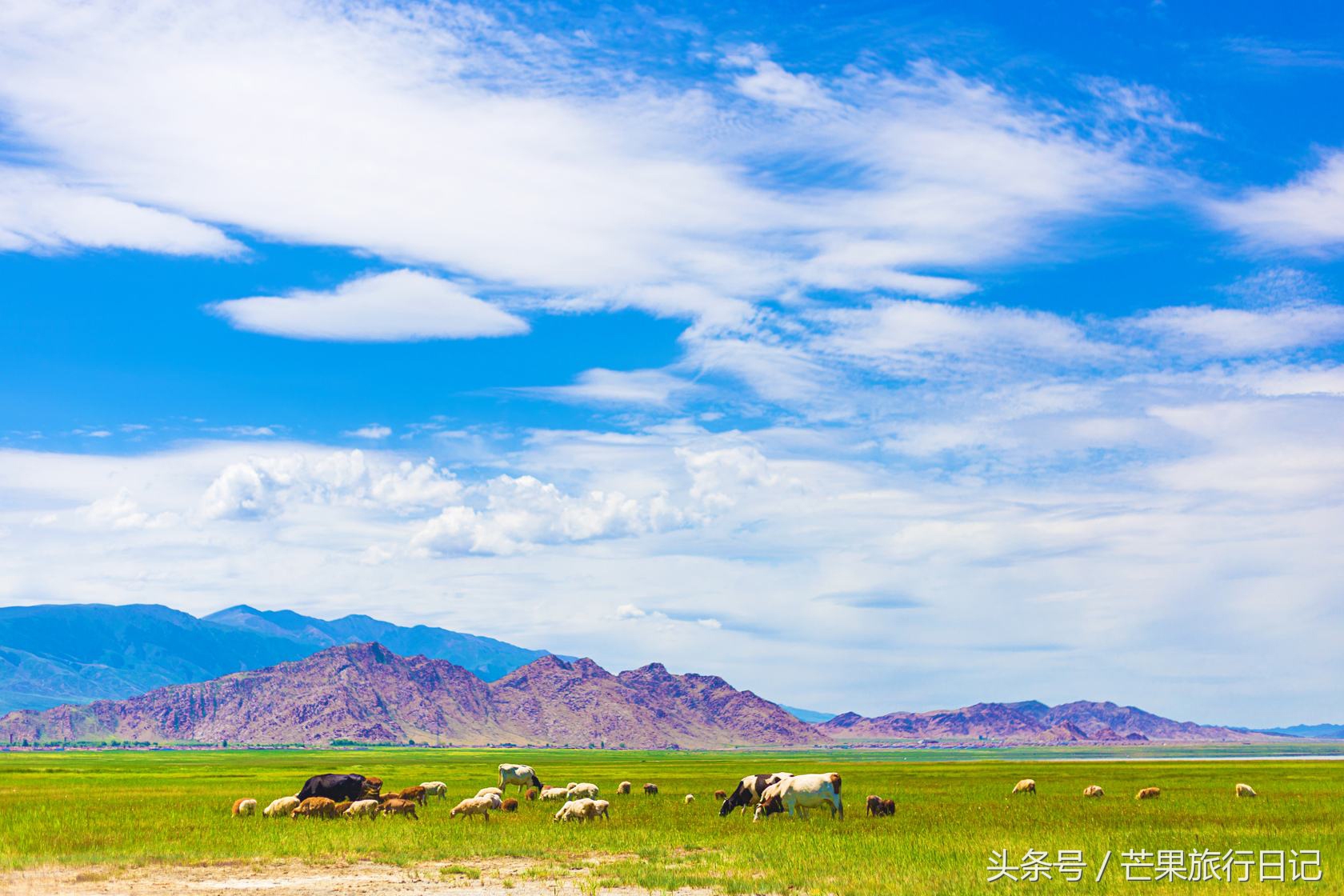 哈密是进疆的东大门,西域哈密国