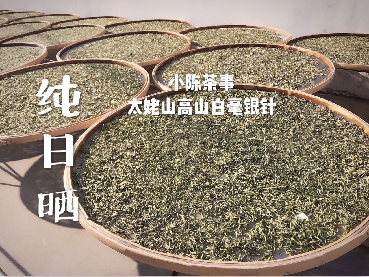 什么样的白茶好喝,一款好的老白茶是什么口感