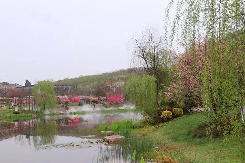 醉美赏花季,遵义醉美旅行