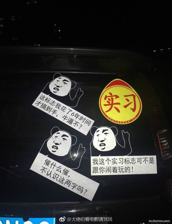 直击火爆全网的国字脸猴子,越看越像猴子一样的人