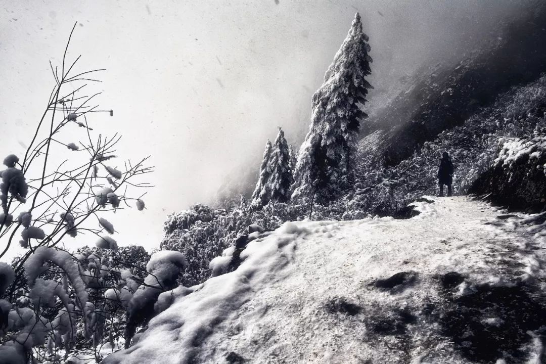 旅拍如何提升自己的质感,旅拍朋友圈怎么吸引人