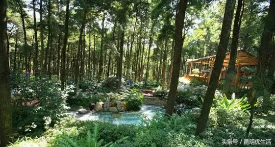 昆明租房最便宜的房子,一室一厅租房700元昆明螺蛳湾