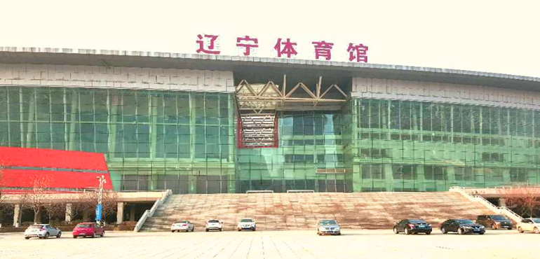 上海男篮主场搬迁,河北队主场搬迁史