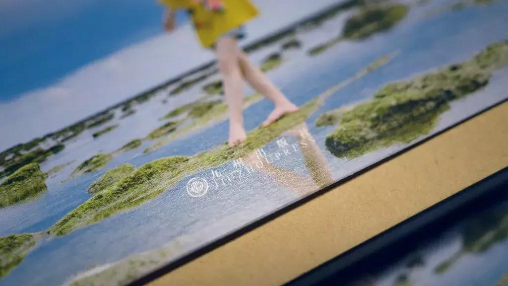 一本前所未有的书，关于我们的宝岛台湾，权威出版，书店买不到