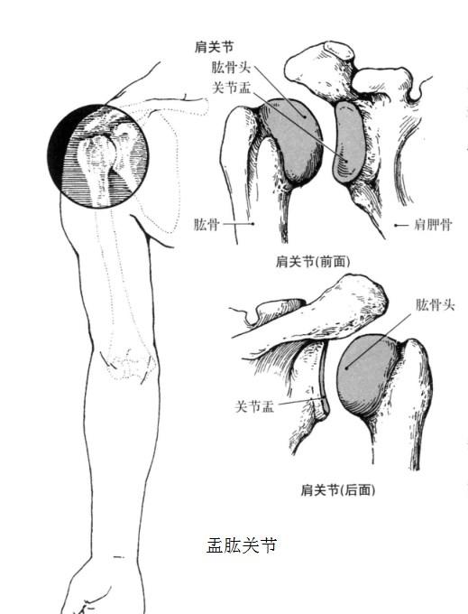 肩关节软组织损伤康复的最佳方法,打篮球肩峰撞击症最佳锻炼方法