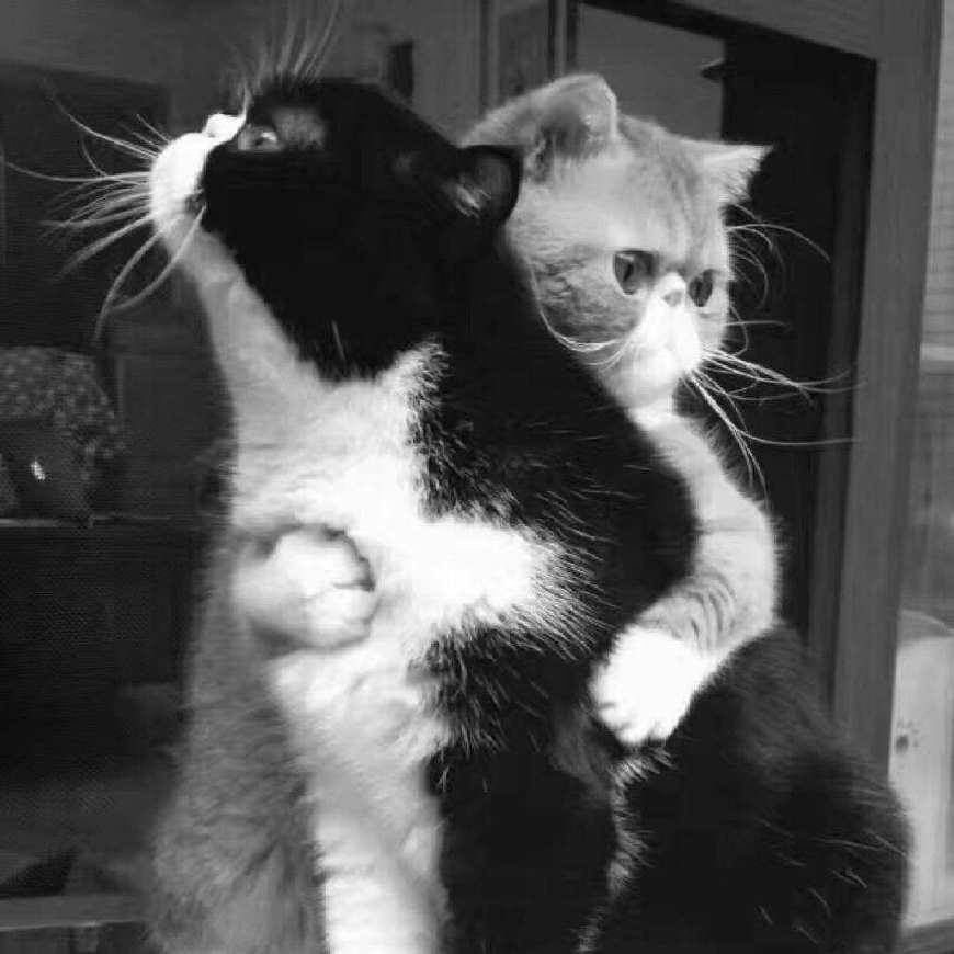 创业做餐饮选择往往比努力更重要,餐饮创业不要去羡慕任何人的成功