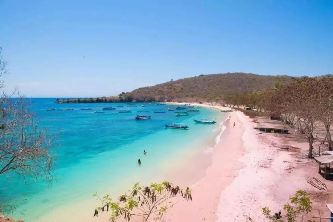 美到极致的粉色旅行,全球十大粉色景点