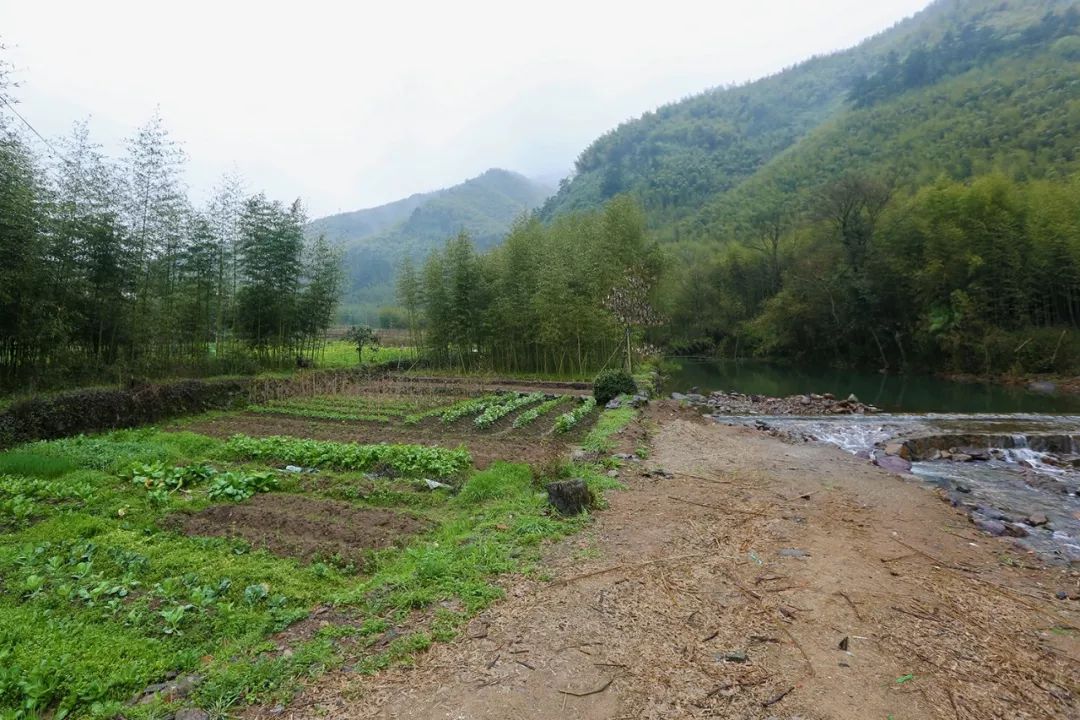 住进莫干山下的“鱼缸”，