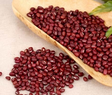 感觉肢体倦怠、神疲乏力的时候,可用这四种食材来保养一下“它”