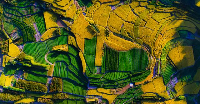 七星伴月七星星君,七星伴月迎中秋