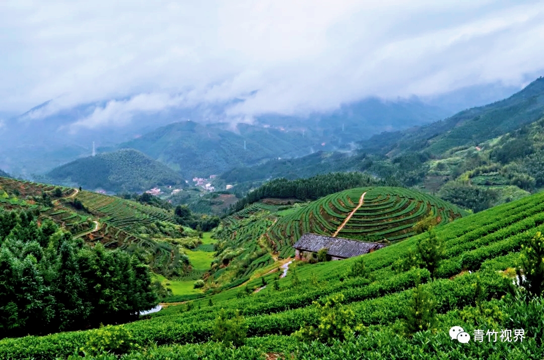 七星伴月七星星君,七星伴月迎中秋