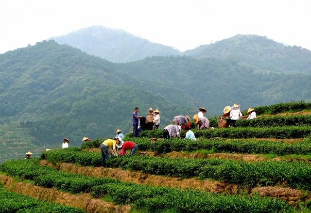 七星伴月七星星君,七星伴月迎中秋