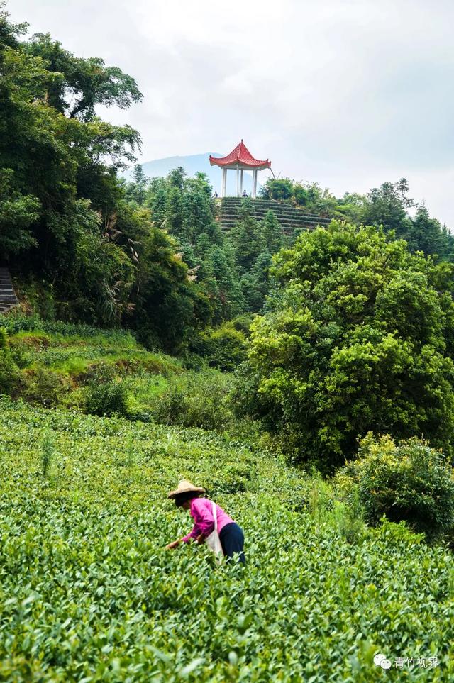 七星伴月七星星君,七星伴月迎中秋