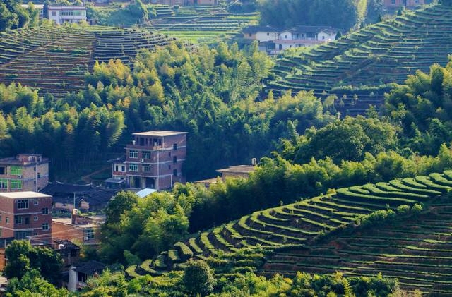 七星伴月七星星君,七星伴月迎中秋