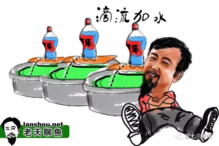 老天聊金鱼,老天聊鱼