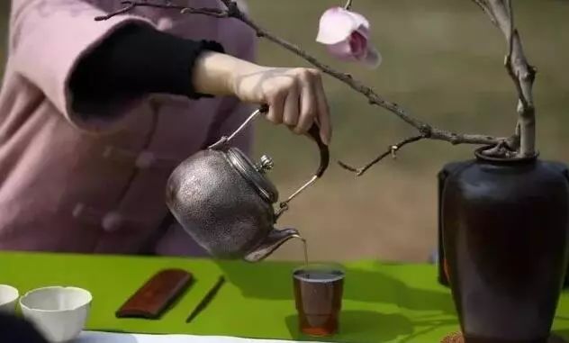 北京玉兰花观赏地,北京最美紫玉兰在哪